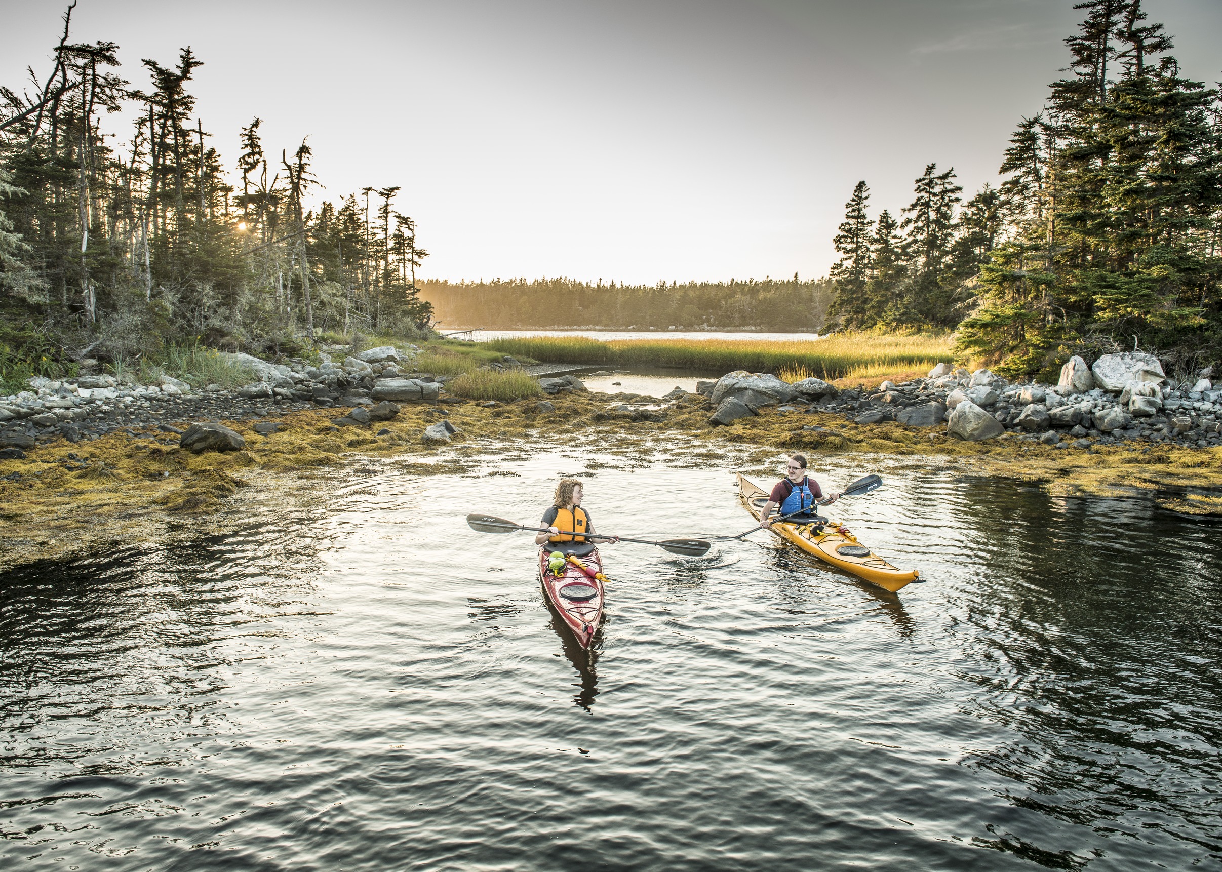 Kayaking_on_the_Eastern_Shore