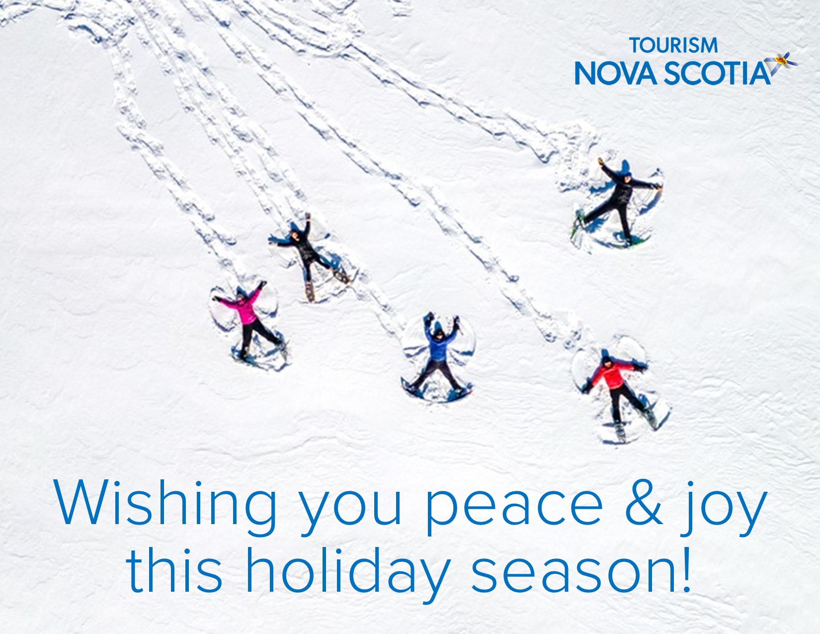 People making snow angels in an open field. Text reads: Wishing you peace and joy this holiday season